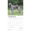 image Irish Wolfhounds 2025 Wall Calendar