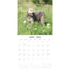 image Irish Wolfhounds 2025 Wall Calendar