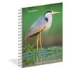 image Audubon 2025 Engagement Planner Main Image