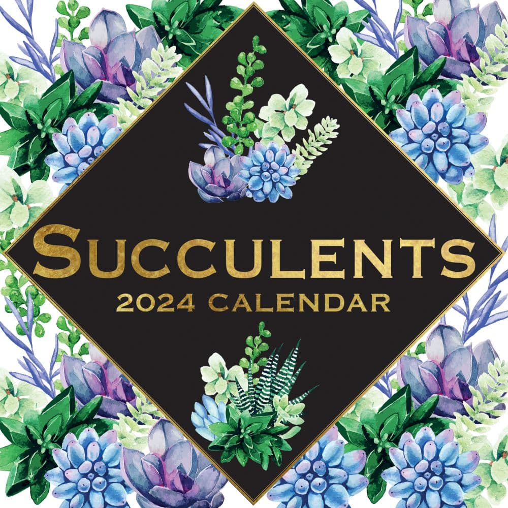 Succulents 2024 Wall Calendar