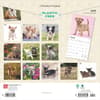 image Chihuahua Puppies 2025 Wall Calendar First Alternate Image width=&quot;1000&quot; height=&quot;1000&quot;