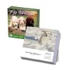 image Dogs And Puppies 2026 Desk Calendar_Main Image