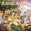 image Animal Antics 2025 Wall Calendar Main Image