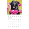 image Black Lab Retriever 2026 Wall Calendar Third Alternate Image
