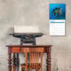 image Sea Turtles 2026 Mini Wall Calendar Fourth Alternate Image