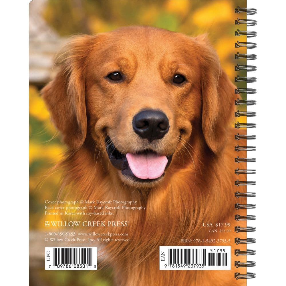 Goldens What Goldens Teach Us 2024 Engagement Planner