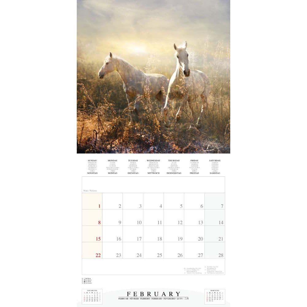 Magic Horses 2026 Wall Calendar Third Alternate Image
