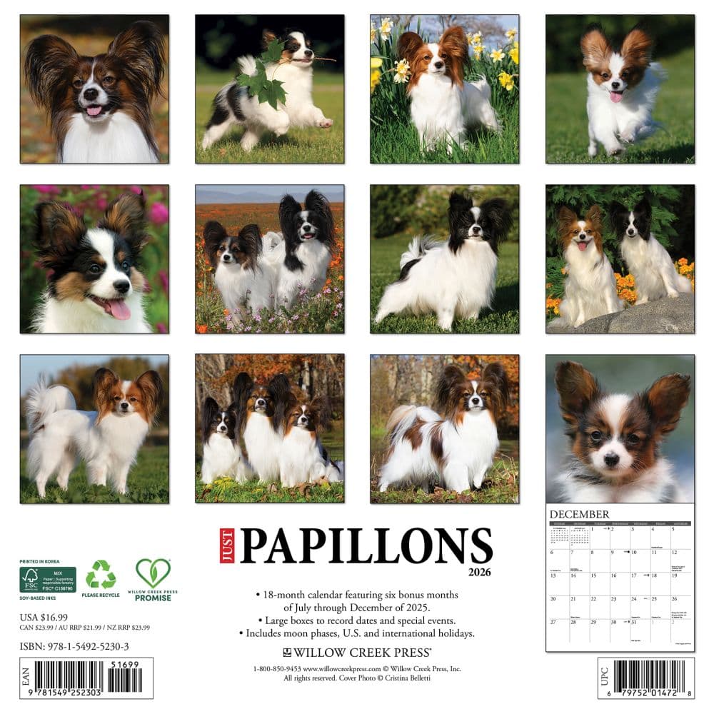 Just Papillons 2026 Wall Calendar First Alternate Image