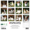 image Just Papillons 2026 Wall Calendar First Alternate Image