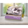 image Cat Naps 2025 Desk Calendar Fourth Alternate Image width=&quot;1000&quot; height=&quot;1000&quot;