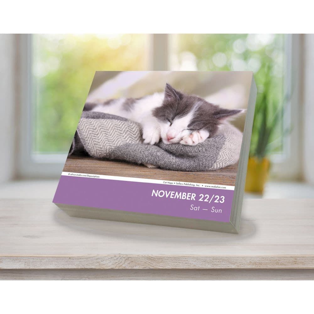 Cat Naps 2025 Desk Calendar Fourth Alternate Image width=&quot;1000&quot; height=&quot;1000&quot;