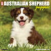 image Australian Shepherd Puppies 2025 Wall Calendar Main Product Image width=&quot;1000&quot; height=&quot;1000&quot;