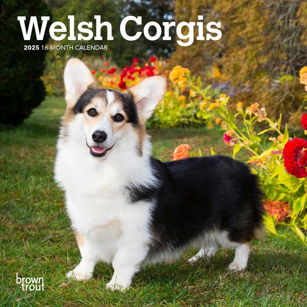 image Welsh Corgi 2025 Mini Wall Calendar Main Image