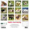 image Puppy Playmates 2025 Wall Calendar First Alternate Image width="1000" height="1000"