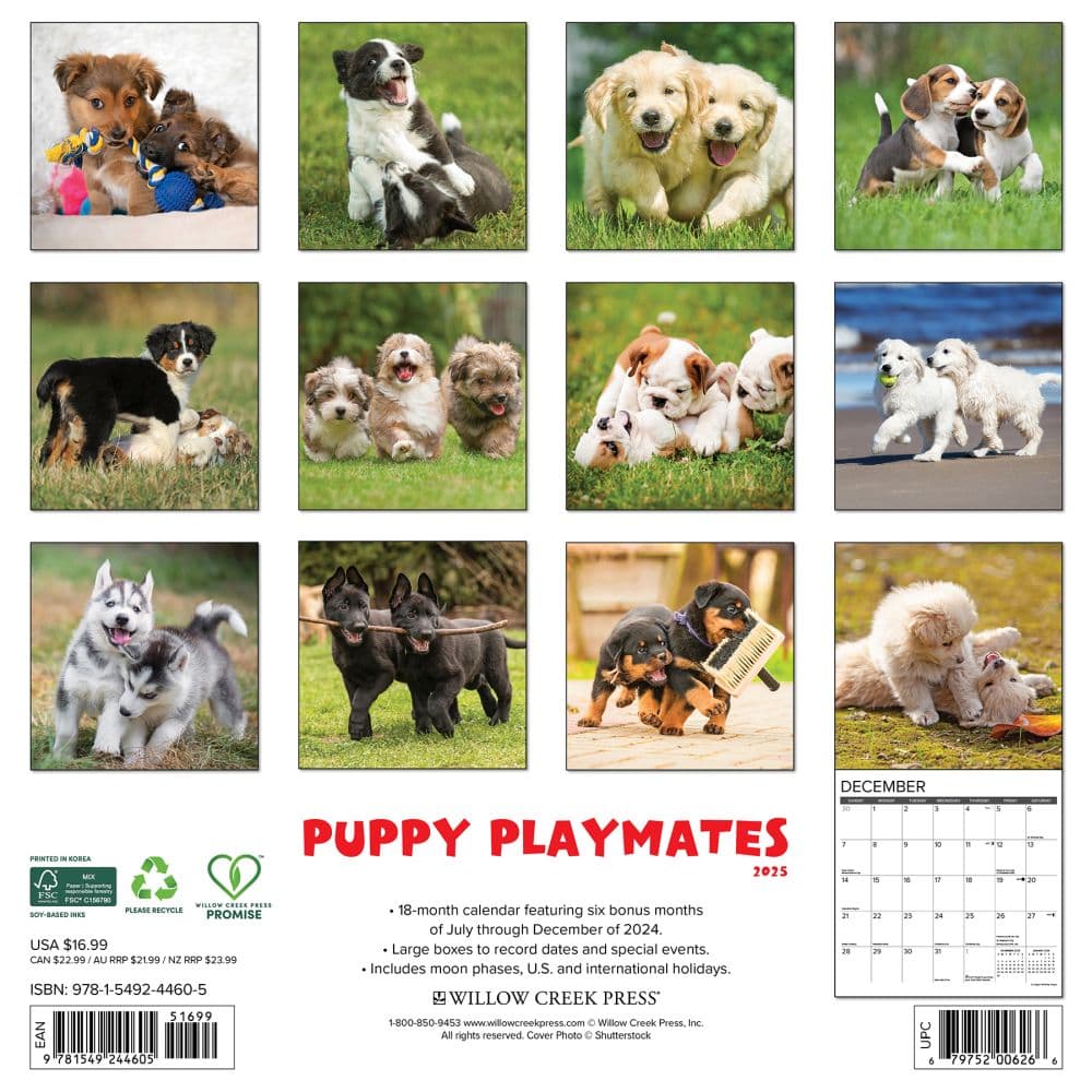 Puppy Playmates 2025 Wall Calendar First Alternate Image width="1000" height="1000"