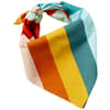 image Petperson Bandana Matching Set Alternate Image 1