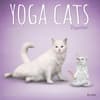 image Yoga Cats Together by Plato 2025 Wall Calendar Main Product Image width=&quot;1000&quot; height=&quot;1000&quot;