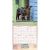image Lambies in Jammies 2024 Wall Calendar Alternate Image 4