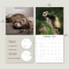 image Ferrets 2025 Wall Calendar Alt3