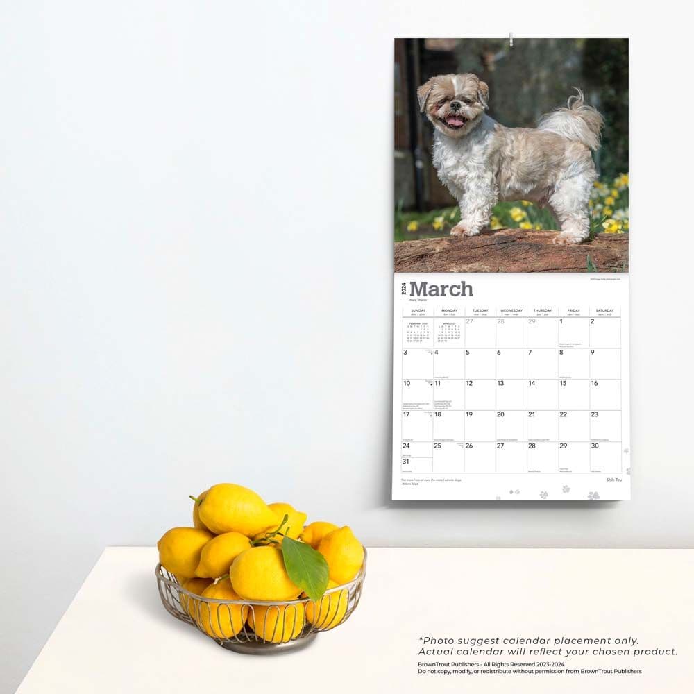 Shih Tzu 2024 Wall Calendar Calendars Com   398efaac 0fea 4b7e 9ca7 Aa93007e8807