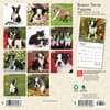 image Boston Terrier Puppies 2024 Mini Wall Calendar Alternate Image 1