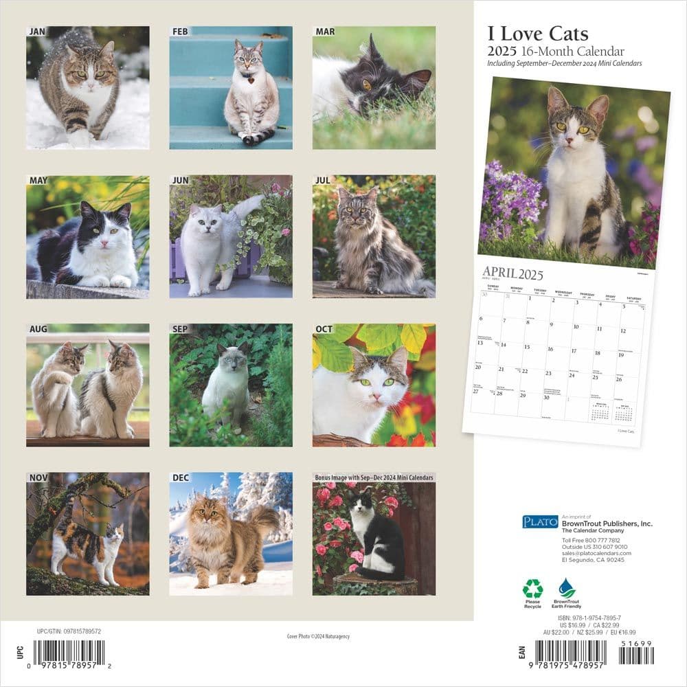 I Love Cats Plato 2025 Wall Calendar First Alternate Image width=&quot;1000&quot; height=&quot;1000&quot;