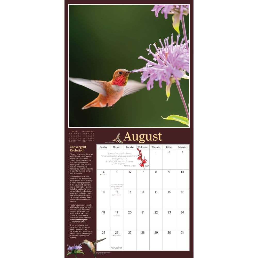 Audubon Garden Birds 2024 Wall Calendar