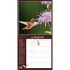 image Audubon Garden Birds 2024 Wall Calendar Alternate Image 1