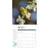 image Birds Feathered Friends 2024 Wall Calendar Second Alternate Image width=&quot;1000&quot; height=&quot;1000&quot;