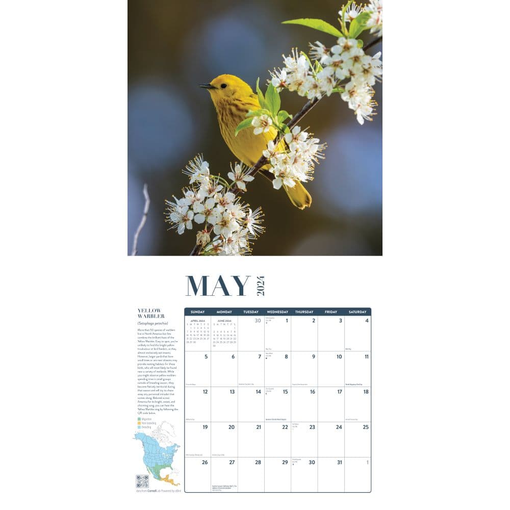 Birds Feathered Friends 2024 Wall Calendar Second Alternate Image width=&quot;1000&quot; height=&quot;1000&quot;