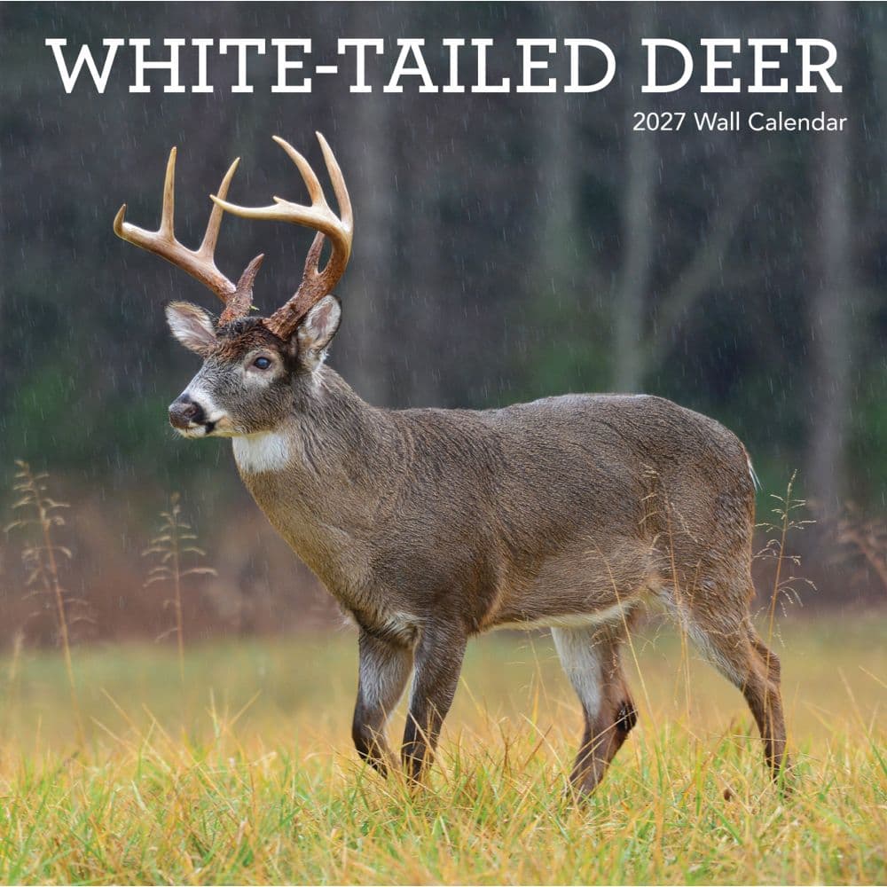 image White Tailed Deer 2027 Wall Calendar Main Product Image