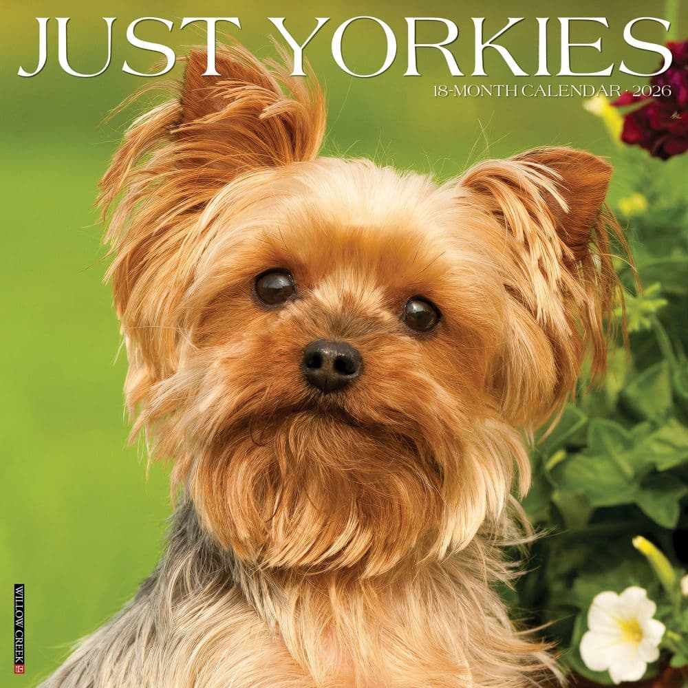 Just Yorkies 2026 Wall Calendar  Main Image