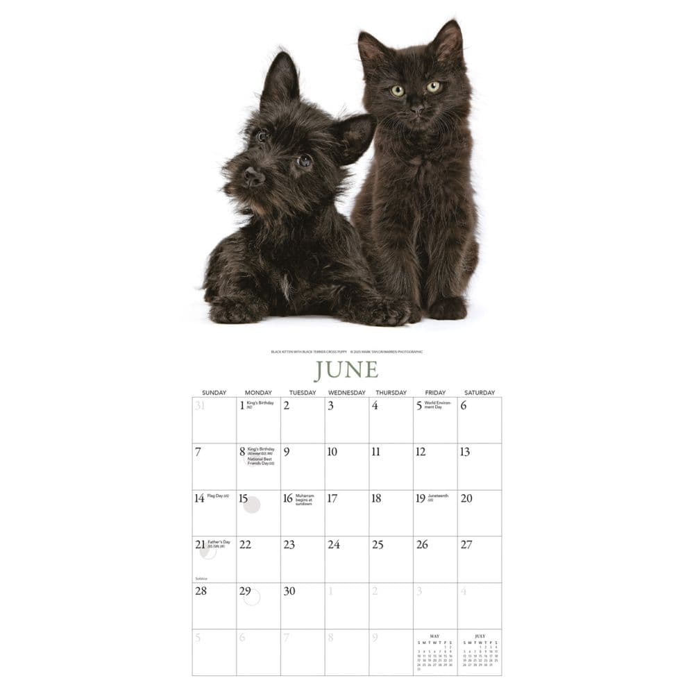 Kittens and Friends 2026 Mini Wall Calendar Second Alternate Image