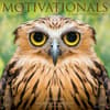 image Motivationals 2025 Wall Calendar Main Image