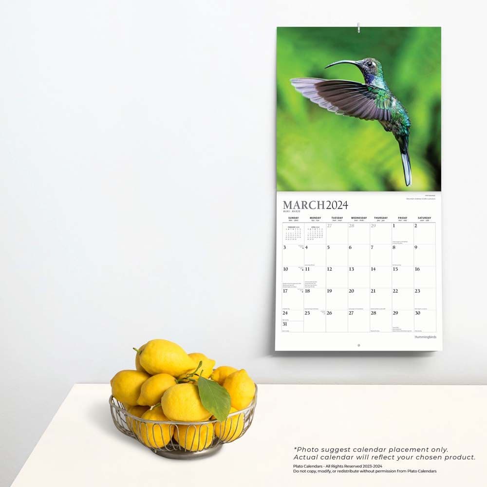 Hummingbirds 2024 Wall Calendar