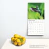 image Hummingbirds 2024 Wall Calendar Third Alternate Image width=&quot;1000&quot; height=&quot;1000&quot;