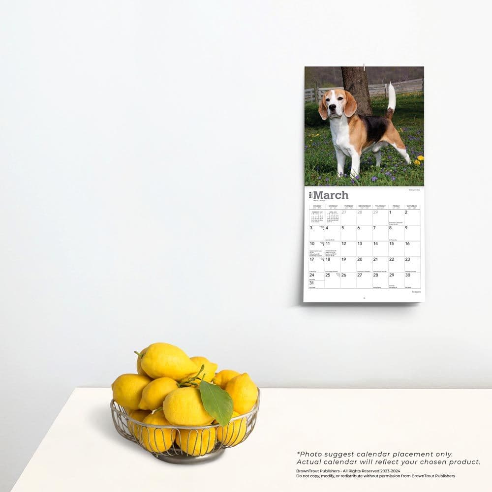 Beagle 2024 Mini Wall Calendar Alternate Image 3