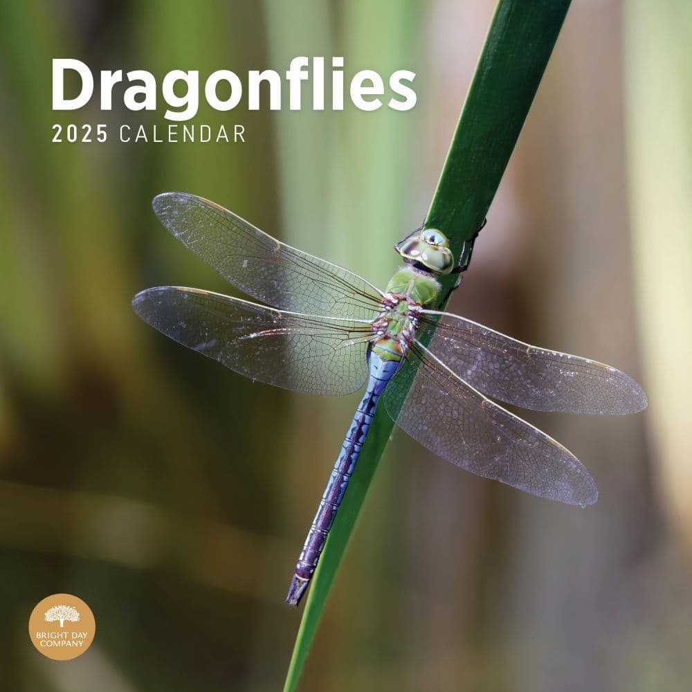Dragonflies 2025 Wall Calendar