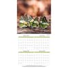 image Butterflies 2027 Mini Wall Calendar