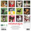 image Chihuahua Rules 2026 Wall Calendar First Alternate Image
