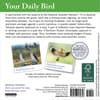 image Audubon Birds 2026 Desk Calendar