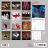 image Ballet 2025 Wall Calendar First Alternate Image width=&quot;1000&quot; height=&quot;1000&quot;