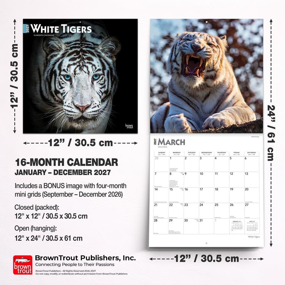 White Tigers 2027 Wall Calendar Sixth Alternate Image
