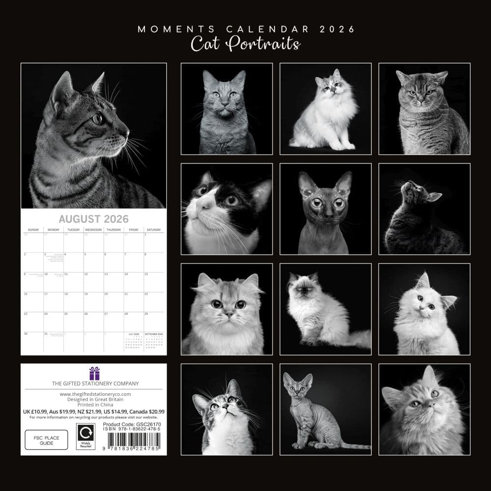 Cat Portraits 2026 Wall Calendar First Alternate Image