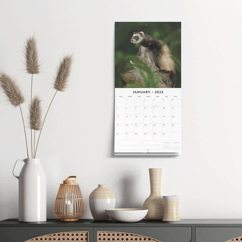 Ferrets 2025 Wall Calendar Alt4