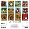 image Just 2025 Boxers 2025 Wall Calendar First Alternate Image width="1000" height="1000"