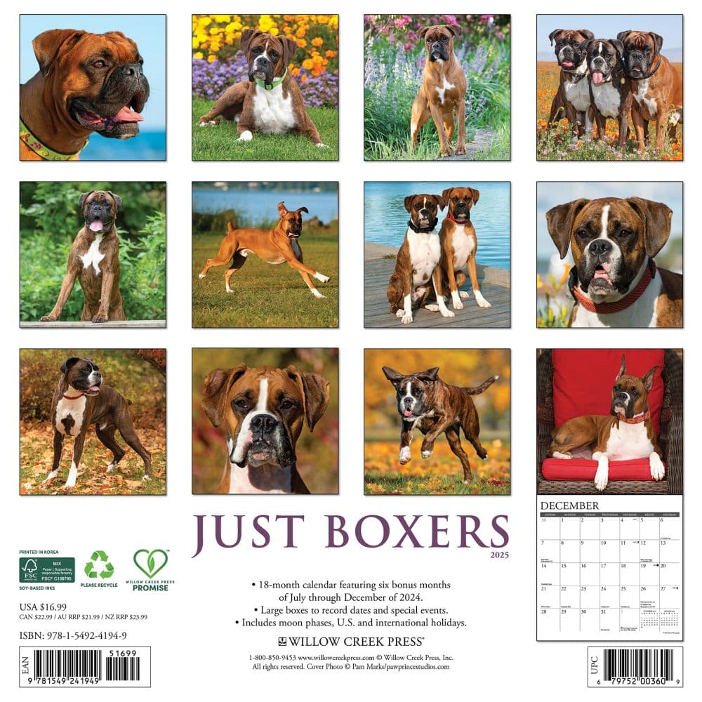 Boxer Puppy Calendar 2025