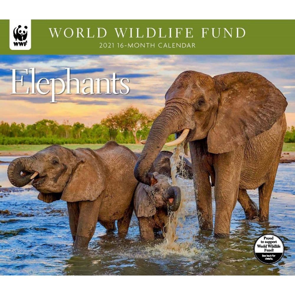 Elephants Wwf Wall Calendar - Calendars.com