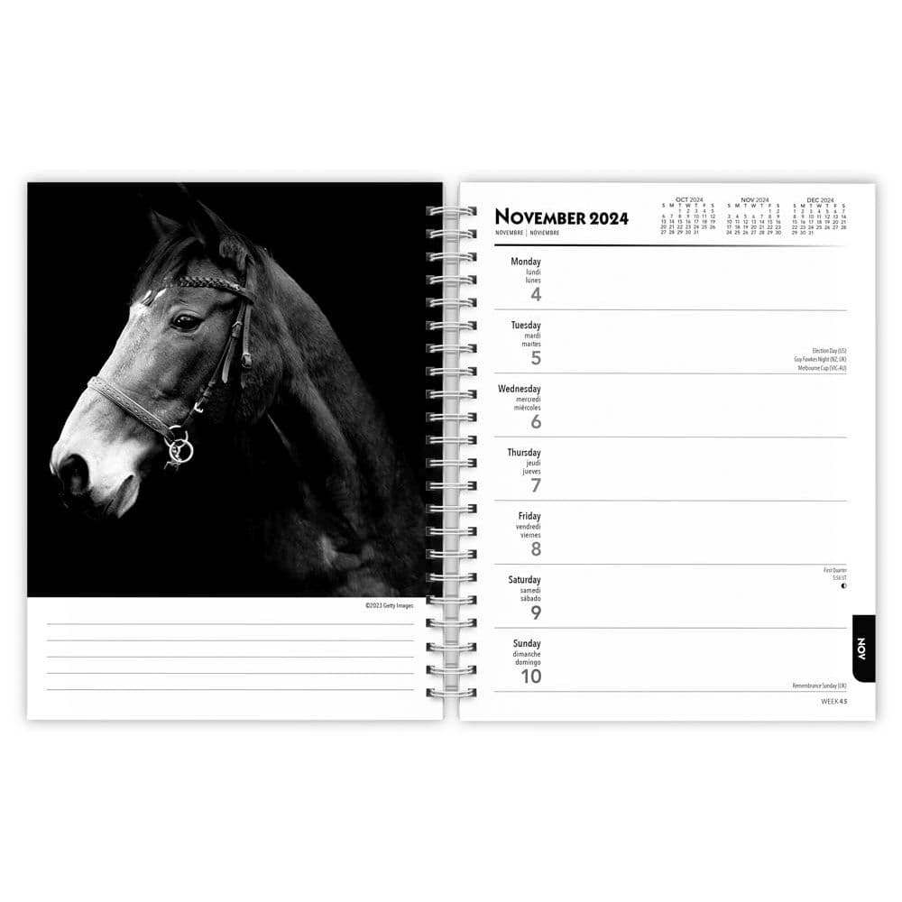 BrownTrout Portrait Series Noble Horse 2024 Wall Calendar