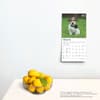 image Jack Russell Terrier Puppies 2025 Mini Wall Calendar Fourth Alternate Image width=&quot;1000&quot; height=&quot;1000&quot;